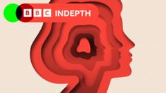 Source-feed image associated with A split in the spectrum? The ongoing battle to define autism