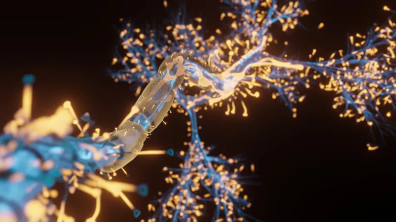 Source-feed image associated with How memories may survive hibernation