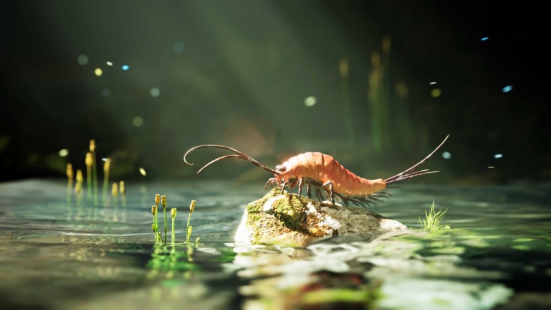 Source-feed image associated with Once upon a time, insects had 24 legs