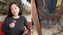 Source-feed image associated with Why are devastating mice plagues happening in Australia?