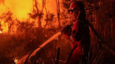 Source-feed image associated with Indonesian police arrest 72 people suspected of starting forest fires