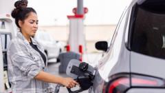 Source-feed image associated with Gas prices drive down US inflation - but will it last?