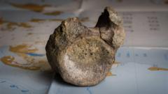 Source-feed image associated with First dinosaur bone from Antarctica found in a drawer