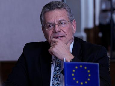 Image from linked report: EU sends envoy to Beijing as rising exports from China raise economic anxiety