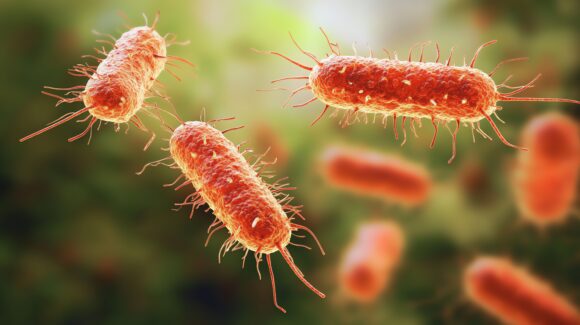 Source-feed image associated with New York City Investigating Legionnaires’ Disease Outbreak on Upper East Side