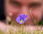 Source-feed image associated with Blossoming among spoil heaps: how 1,000 years of lead mining gave birth to banks of pansies and pennycress