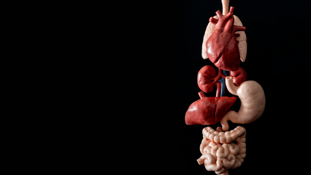 Source-feed image associated with STAT+: Key data on a new class of cardio drugs are coming