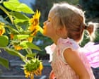 Source-feed image associated with Smelling test: children need education in sniffing aromas, scientist says