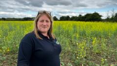 Image from linked report: Farmers down 240 million litres of milk after heat