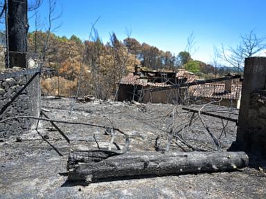 Source-feed image associated with France records its hottest summer since measurements began over a century ago