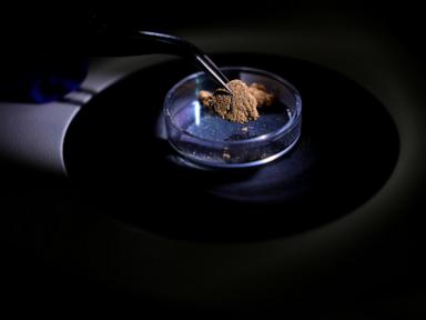 Source-feed image associated with Brazil uses forensic science to trace gold's origin and tackle illegal mining in the Amazon