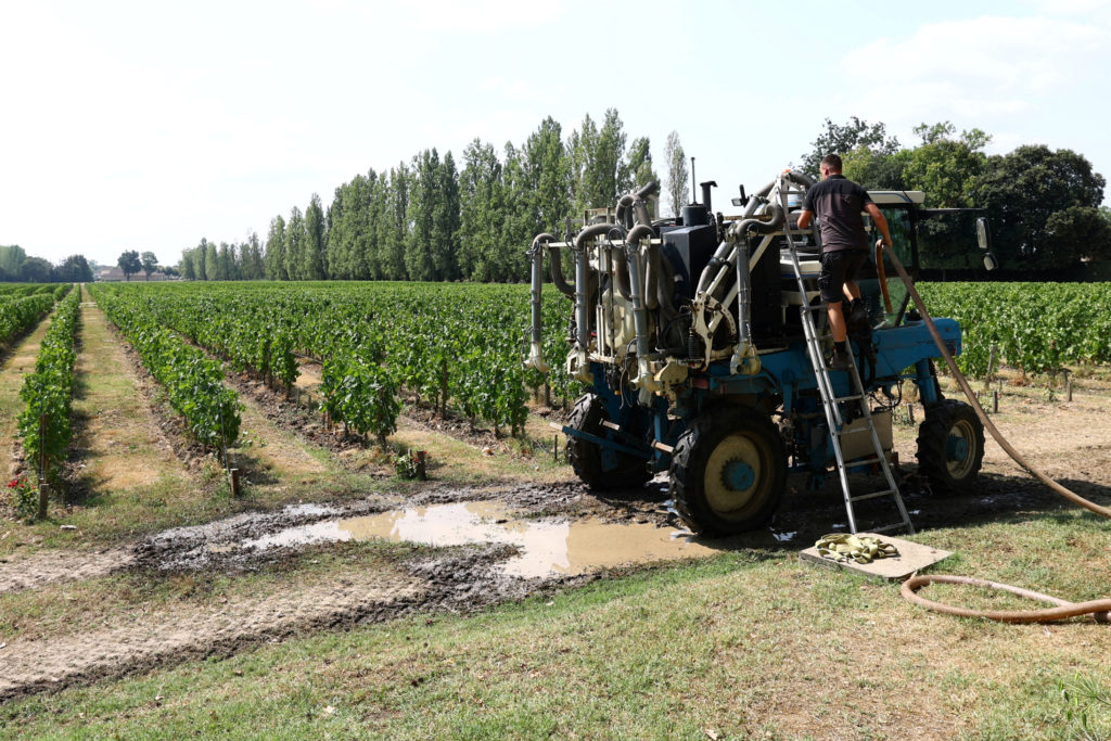 Source-feed image associated with Wildfires near Bordeaux threaten to squeeze France's struggling wine industry