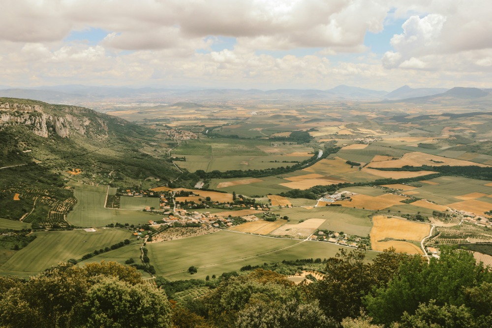 Image from linked report: Inside the Basque Production Boom: Who Owns the Growth?