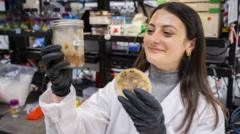 Source-feed image associated with The ancient trick making food waste useful and tasty
