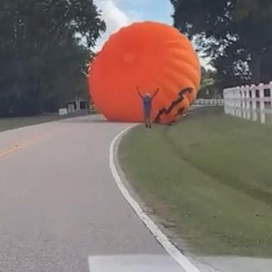 Image from linked report: Good grief, Charlie Brown! Giant inflatable pumpkin takes pre-Halloween flight
