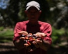 Source-feed image associated with ‘Danger no longer only comes from the hitmen, but from the state’: the Honduran farmers labelled terrorists for protecting their land
