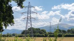 Source-feed image associated with Farmers 'vindicated' after judge's ruling on pylon firm accessing land