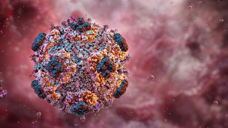 Source-feed image associated with Why is hantavirus so deadly? It’s not what you may think