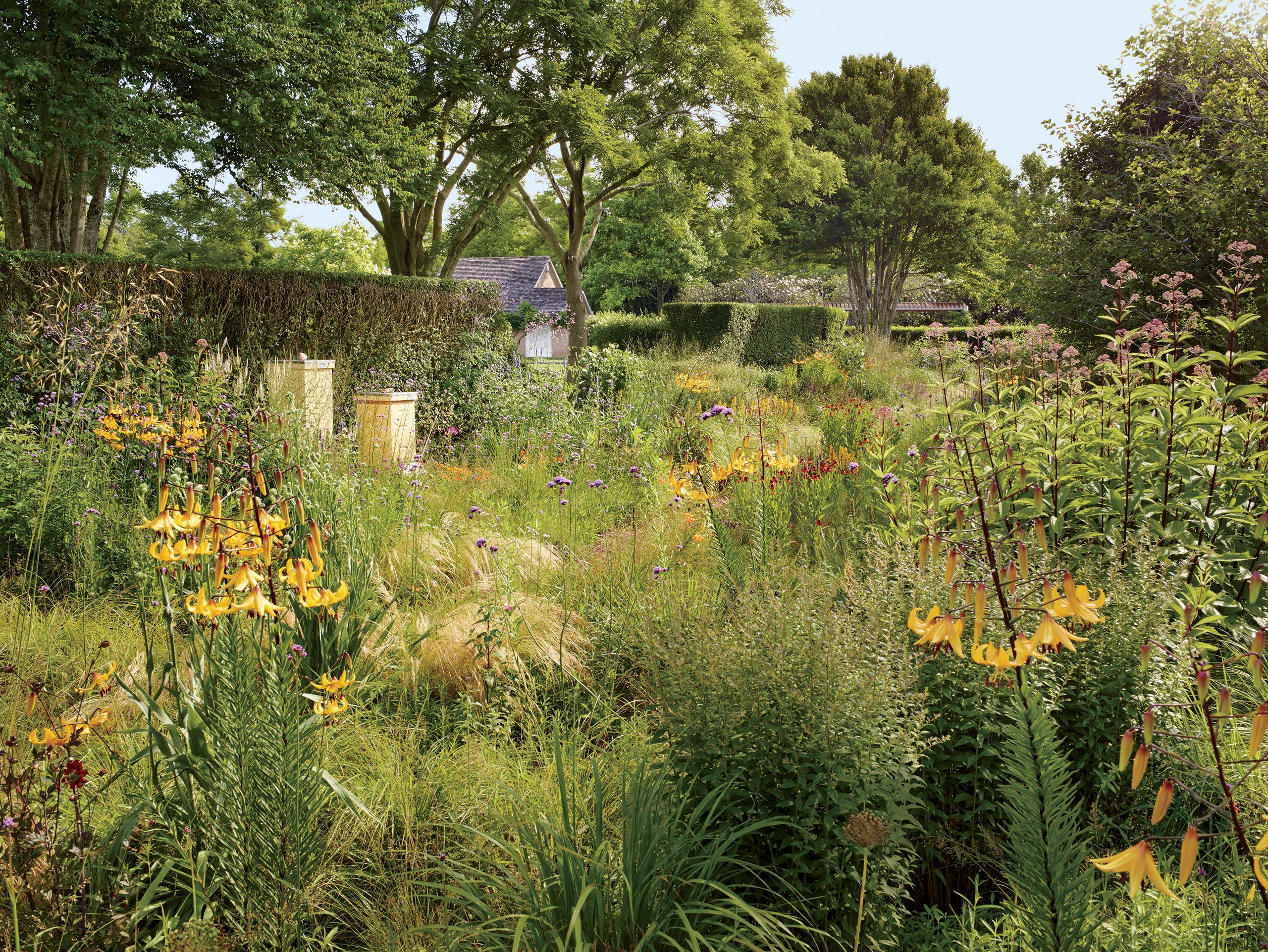 Source-feed image associated with What Is a Chaos Garden?