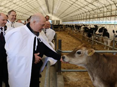 Source-feed image associated with Belarus' authoritarian leader pardons 28 political prisoners to ease ties with the West