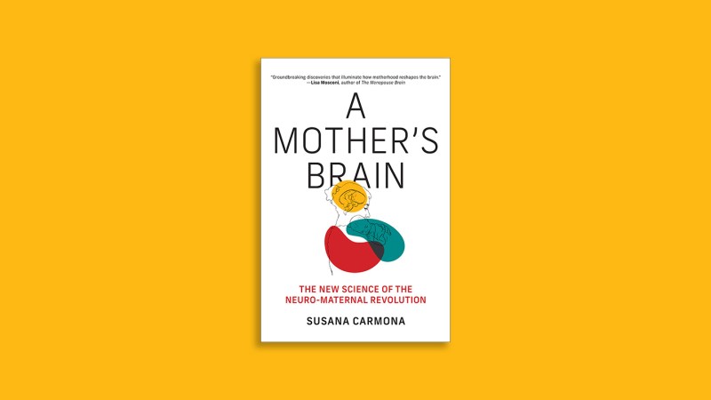 Image from linked report: ‘A Mother’s Brain’ explores the neuroscience of motherhood