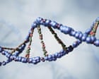Source-feed image associated with Can a world-first gene therapy reverse ageing? – podcast