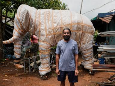 Source-feed image associated with Robotic elephants draw crowds and controversy in some of India's Hindu temples