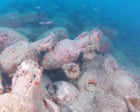 Source-feed image associated with Roman shipwreck with 500 amphorae found off coast of Sicily