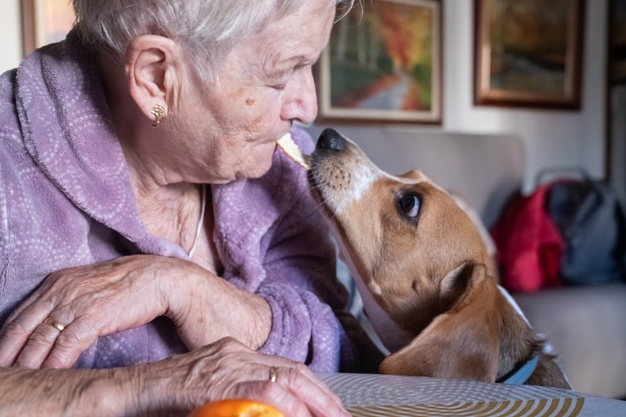 Source-feed image associated with My elderly mother and I own a home together. Will Medicaid force its sale?