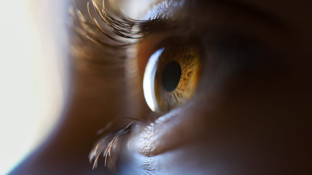 Image from linked report: STAT+: Life Biosciences share glaucoma study updates for its cellular reprogramming drug