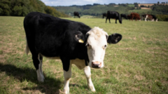 Image from linked report: Bluetongue restriction zone to be expanded across all of Scotland