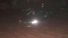 Source-feed image associated with Watch: Downed trees and flooding as Hurricane Lowell batters western Hawaii