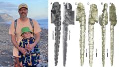 Image from linked report: Fossil found on Welsh beach ends 'confusion' over 200-million-year-old fish teeth