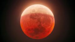Source-feed image associated with Moon set to turn red as rare partial lunar eclipse graces UK skies