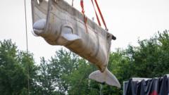 Source-feed image associated with Watch: Beluga whales travel by plane and lorry to US from closed Canadian marine park