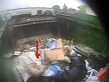 Source-feed image associated with WATCH: Dog rescued from garbage truck finds forever home with driver