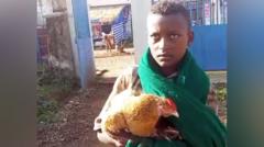 Source-feed image associated with Boy, 12, wins hearts after trying to check sick chicken into Ethiopian hospital