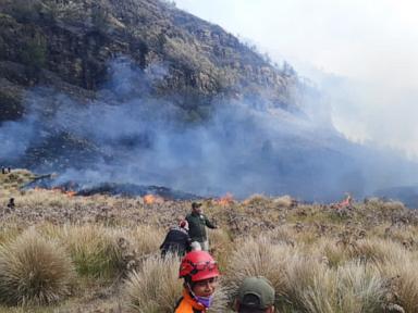 Source-feed image associated with Fire burns 60 hectares in Indonesia’s Mount Bromo National Park