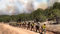 Source-feed image associated with Three firefighters die battling huge wildfires on Colorado-Utah border