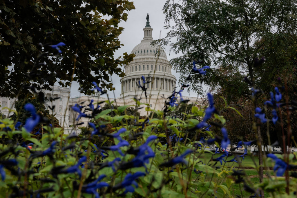 Image from linked report: Senate reaches bipartisan deal on permitting bill to speed approvals of new energy projects