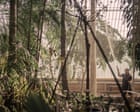 Source-feed image associated with ‘Sad moments ahead’: Kew Gardens to fell rare trees in race to save Victorian greenhouse