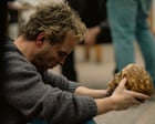 Source-feed image associated with Elsinore review – Andrew Scott is astonishing as Ian Charleson in devastating Aids drama