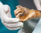 Source-feed image associated with Scientists make sourdough bread using yeast found in 5,000-year-old mummy