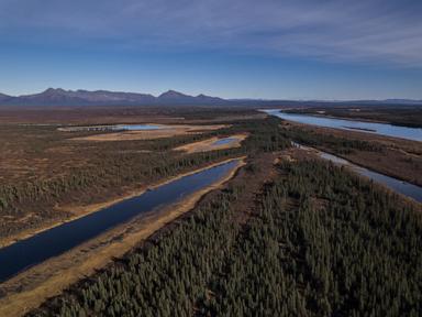 Source-feed image associated with A jungle grows in the Arctic, but warming is changing Earth's mini-greenhouse