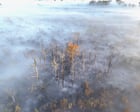 Source-feed image associated with ​France and Spain race to control wildfires as fresh heatwave hits, as UN warns ‘the climate alarm is blaring’ – Europe live