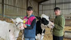 Source-feed image associated with Farmers' warning as milk prices fall below cost