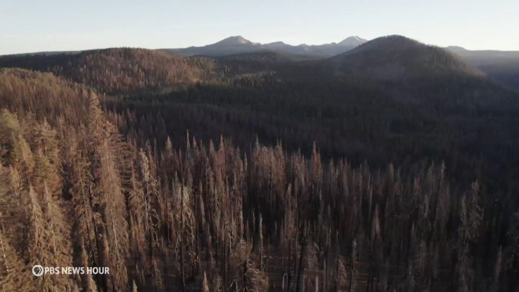 Source-feed image associated with U.S. Forest Service, timber companies spraying record amounts of glyphosate in California