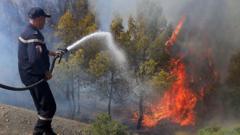 Source-feed image associated with At least 12 dead as wildfires sweep through northern Algeria