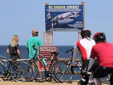Source-feed image associated with Shark attack on Alabama teen inspires the start of a national alert system