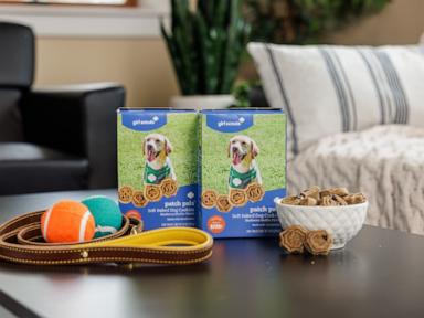 Source-feed image associated with Girl Scouts' first cookies for dogs will go on sale in January